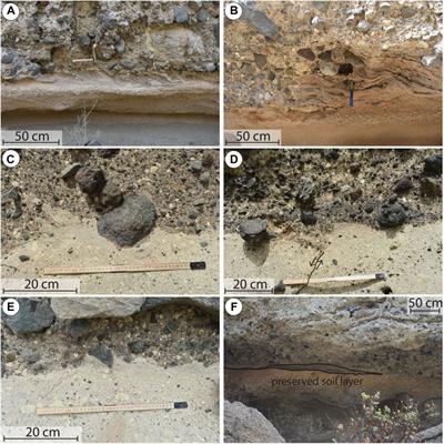 Distributed stress fluidisation: Insights into the propagation mechanisms of the Abona volcanic debris avalanche (Tenerife) through a novel method for indurated deposit sedimentological analysis